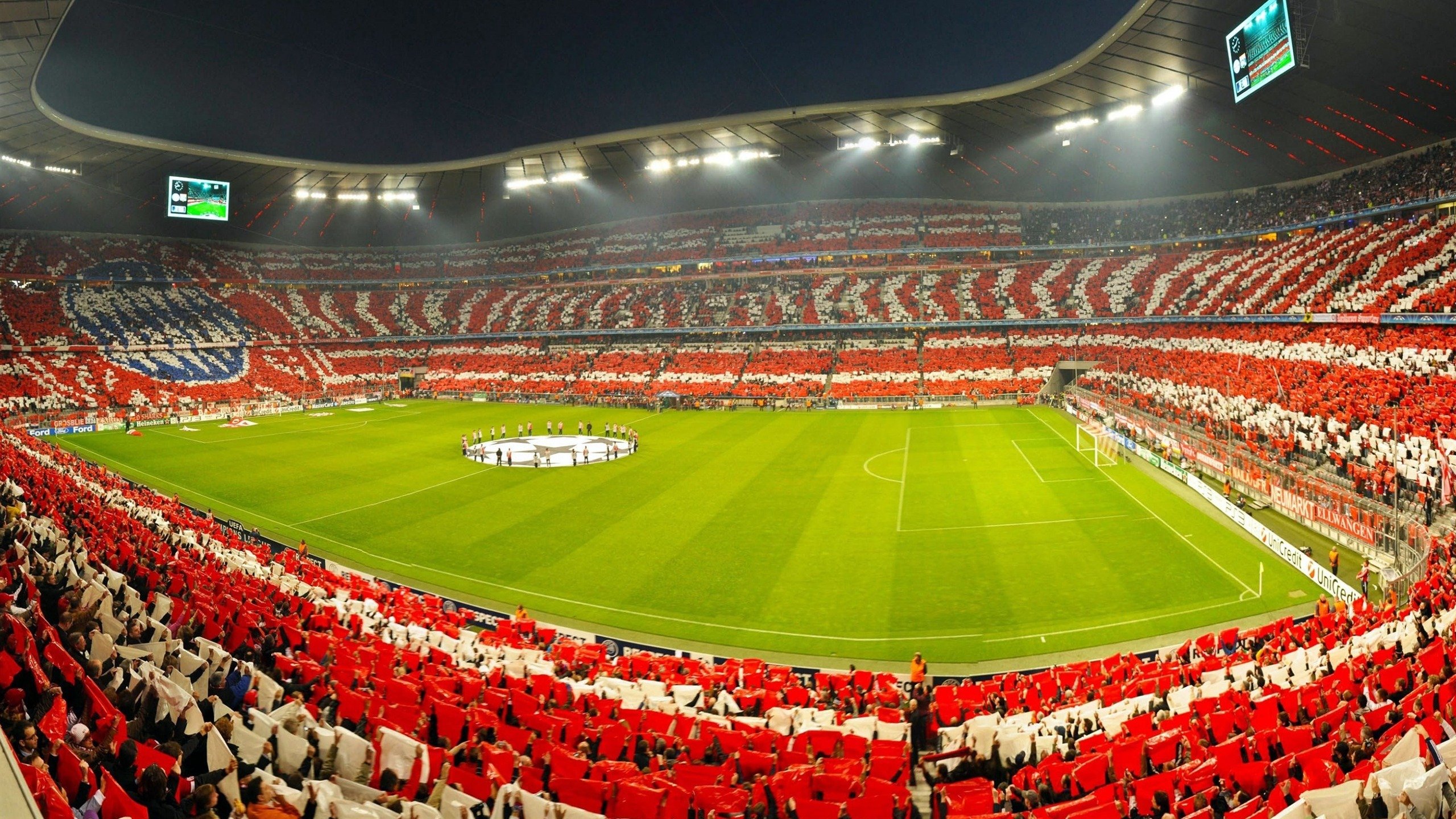 国际武术运动会开幕 中国队在首日套路比赛中包揽四金